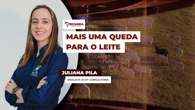 Preço do leite ao produtor tem recuo de 0,3% em julho, mas queda nos custos de produção mantém margens positivas
