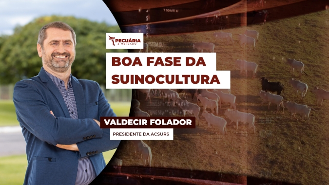 No RS a estabilidade de preços do suíno e dos custos de produção tem garantido renda ao produtor