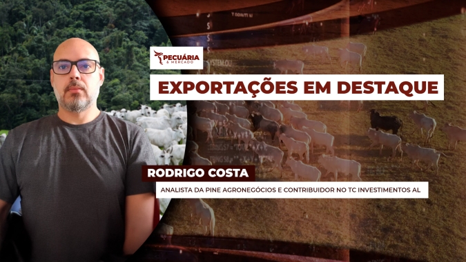 Exportações em alta farão diferença na precificação da arroba quando oferta de animais começar a reduzir