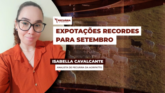 Embarques de carne em setembro têm média diária 15% maior que no mesmo período do ano passado
