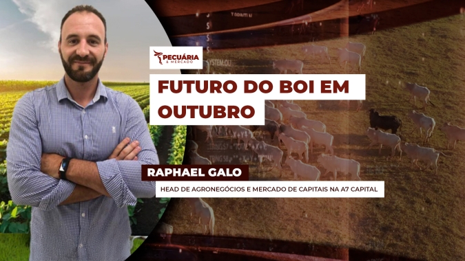 Mês de outubro na B3 inicia com arroba distante das cotações vistas no 1° semestre, mas fatores de recuperação