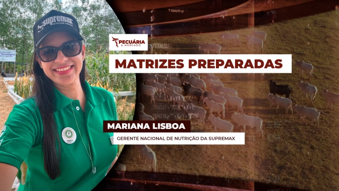 Como preparação nutricional das matrizes, antes da estação de monta, pode influenciar nos resultados da temporada