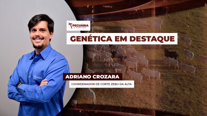 Precocidade ainda é a característica genética mais buscada para o aprimoramento do rebanho brasileiro