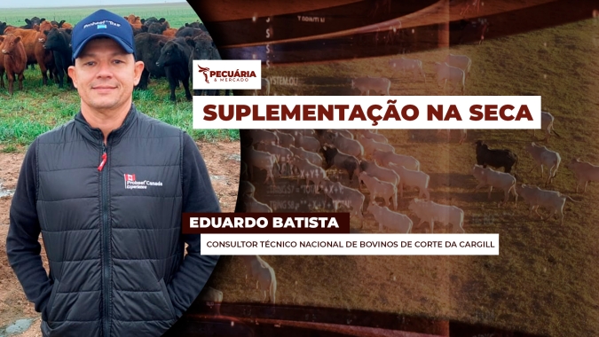 Período de seca exige suplementação específica para evitar perda de peso dos animais