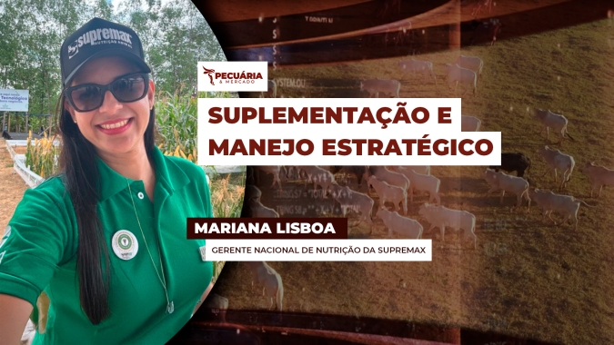 Técnicas de manejo e suplementação estratégica melhoram desempenho dos animais durante o período seco do ano