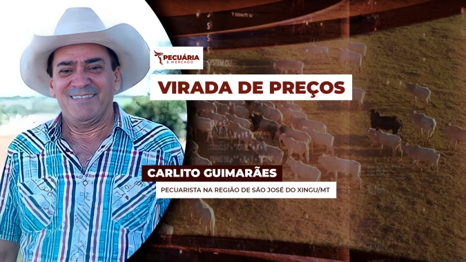 Alta na reposição vai influenciar preços da arroba e movimento já começou, diz pecuarista