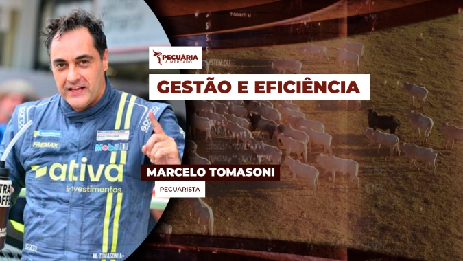 O pecuarista que trouxe a experiência do Mercado Financeiro para dentro da fazenda e tem conseguido bons resultados