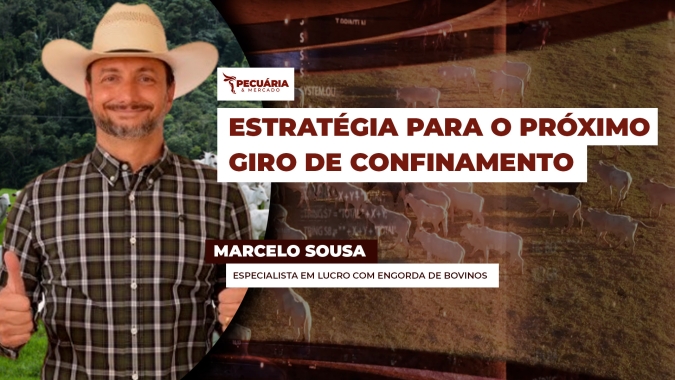 Pecuarista deve garantir detalhada análise de viabilidade antes de fechamento de novos lotes