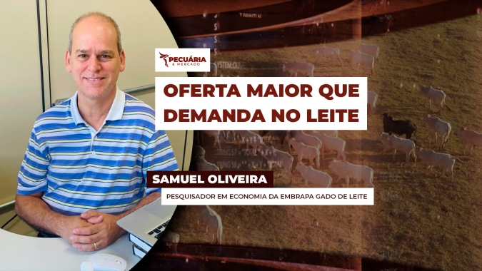Custo de produção em queda garante rentabilidade para os produtores de leite eficientes, apesar do recuo nos preços