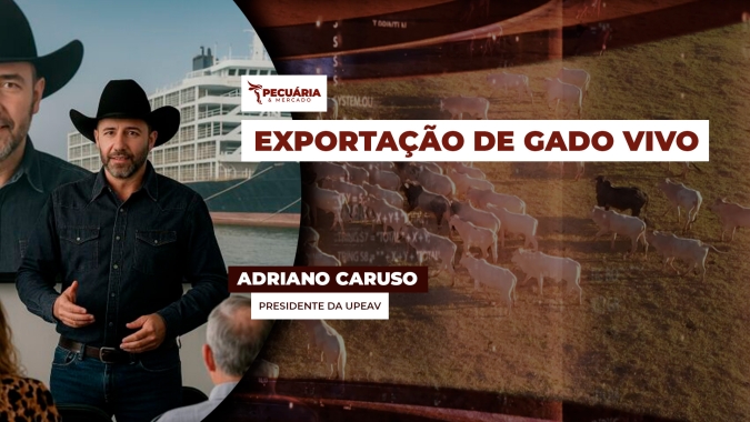 Entidade defende exportação de animais vivos feita diretamente entre pecuaristas e compradores internacionais