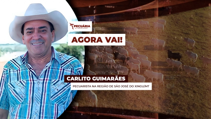 Arroba do boi deve engrenar movimento de alta com foco na menor oferta de animais, diz pecuarista