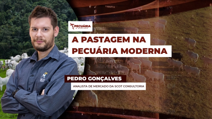 Encontro em Ribeirão Preto discutiu o futuro da pecuária e como o uso de tecnologias pode impactar eficiência da produção
