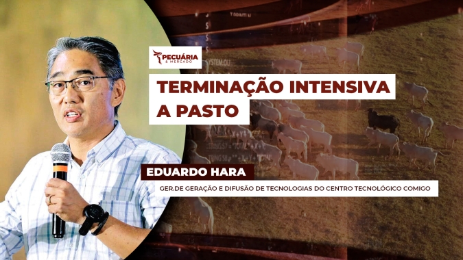 Com o avanço da soja e a valorização das terras em Goiás, pecuaristas encontram na TIP e no RIP a chave para aumentar a produtividade