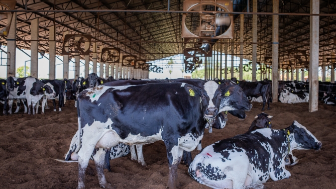 Agropecuária goiana vai receber mais de R$ 16 milhões do FCO Rural