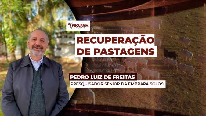 Case na COP 30 , recuperação de pastagens degradas é saída ambiental, econômica e social para o Agro
