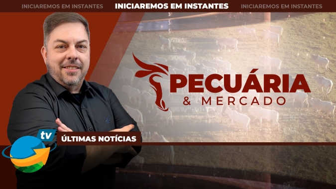Redução na oferta global de animais para abate pode beneficiar Brasil no segundo semestre