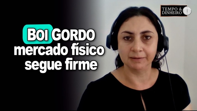 Boi gordo tem movimento de fundos na B3 mas mercado físico segue firme, diz Shiley Menezes do CEPEA