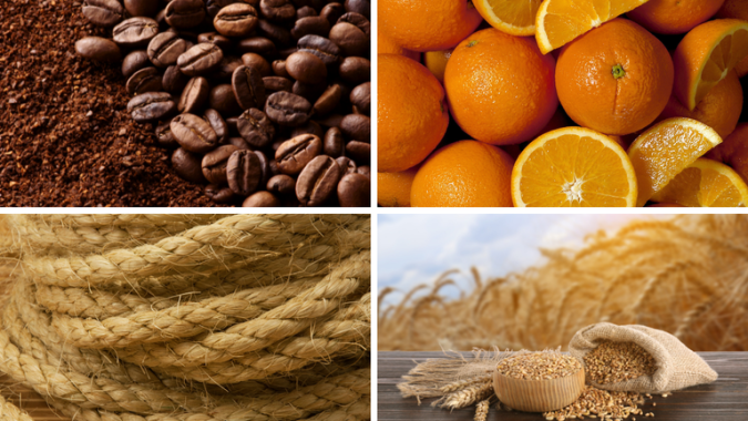 Mapa publica preços mínimos para café, laranja, sisal, trigo em grãos e semente de trigo da safra 2026/2027