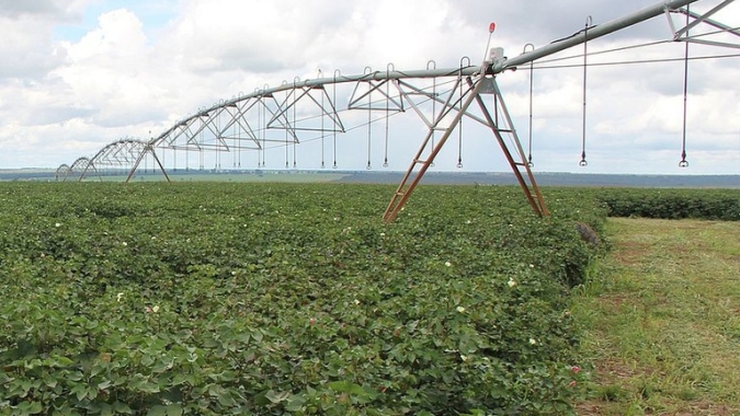 Oeste da Bahia bate recorde de produtividade graças a forte investimento em irrigação