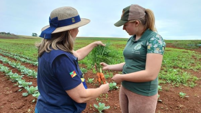 Plano Safra da Agricultura Familiar amplia crédito e Emater/RS-Ascar orienta produtores para acessar recursos