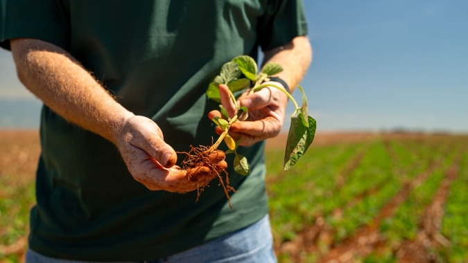 La Niña acende alerta para a safrinha do milho e marca início irregular do ciclo da soja