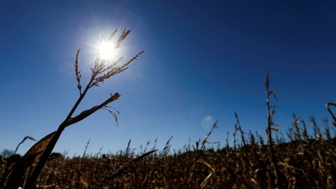 Novas chuvas marcarão fim da seca para campos argentinos, diz especialista