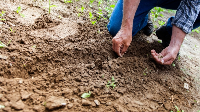 Software de gestão de fazendas também indica plantabilidade ideal para desenvolvimento dos cultivos