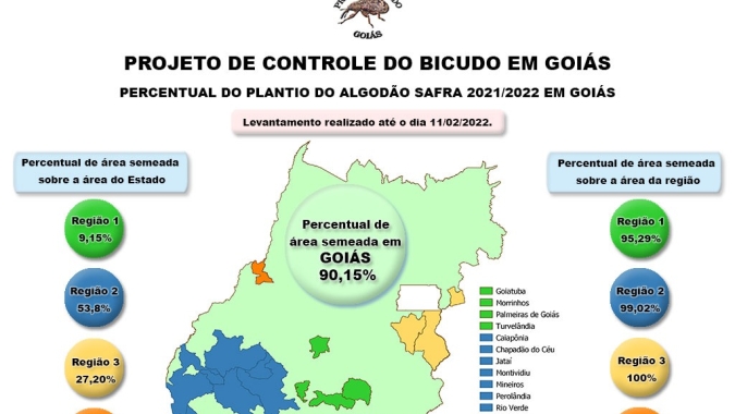 Plantio de algodão em Goiás ultrapassa 90% da área plantada