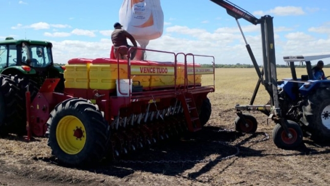RS: Semeadura do arroz representa mais de 50% da intenção em todo o estado