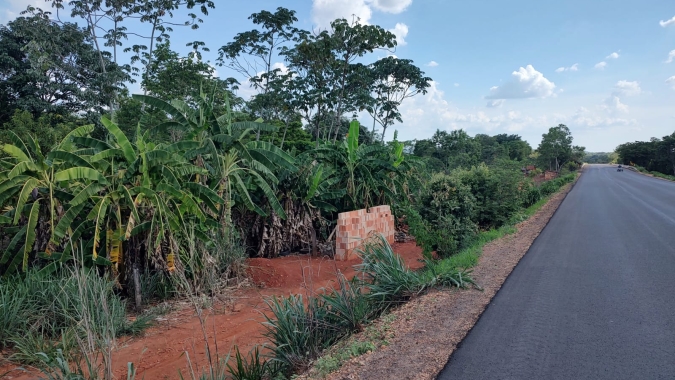 Agrodefesa alerta para os riscos do cultivo de bananeiras nas faixas de domínio de rodovias goianas
