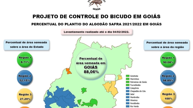 Mais de 88% da safra de algodão já foram plantados em Goiás