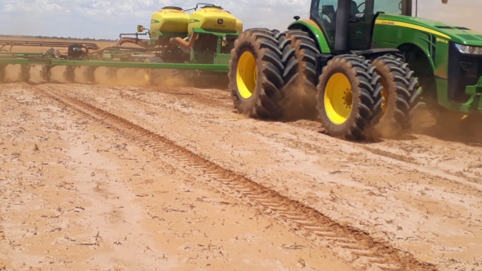 Oeste da Bahia começa a semeadura do algodão neste domingo, 21