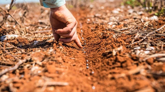 Soja: Safra 22/23 do Brasil não pode ter falhas, mas previsões mostram preocupações com clima no Sul no médio prazo