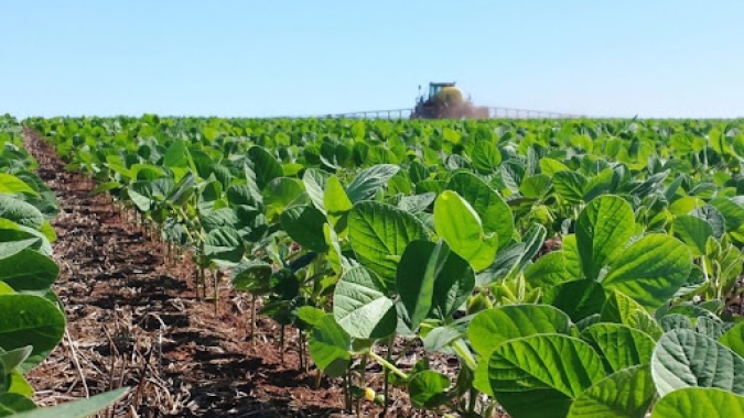 Soja 22/23: Imea estima aumento de quase 60% nos custos de produção da próxima temporada