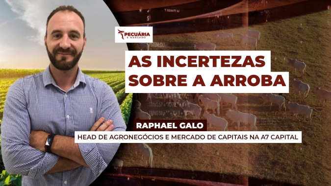 Fim da pressão sobre os preços da arroba não significa retomada de alta para o boi, alerta analista