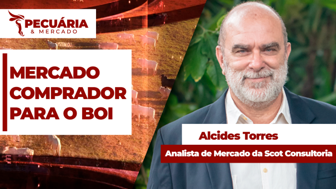Equilíbrio entre oferta e demanda tem garantido preços firmes para arroba boi e tendência é de novas altas