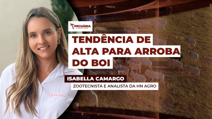 Semana começa com expectativa de renovação de preços para arroba do boi
