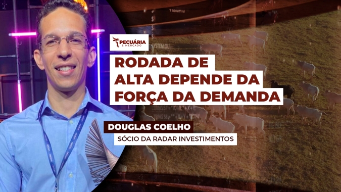 Arroba do boi segue firme e  na expectativa da demanda de início de mês para nova rodada de alta
