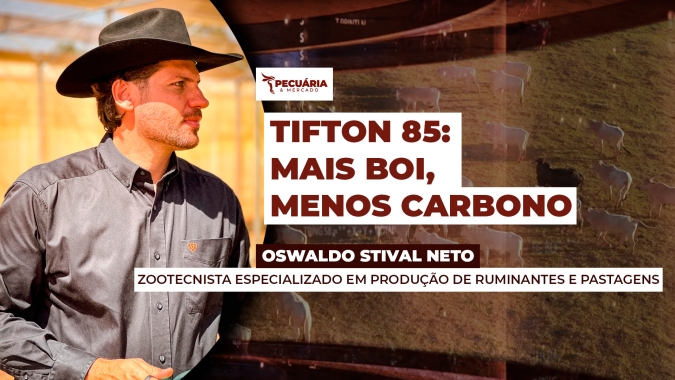 Pecuária sustentável: tecnologia brasileira promete até 7 cabeças/ha sem desmatamento