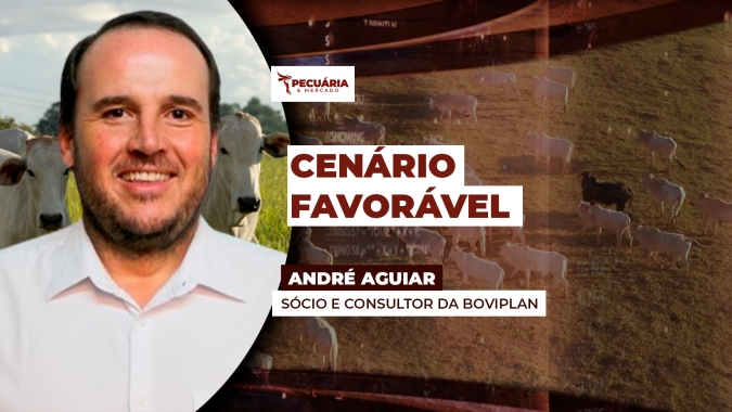 Mercado de carne mais enxuto, encurtamento das escalas dos frigoríficos e preços da arroba inferiores a 2024 dão suporte a um movimento de alta para arroba
