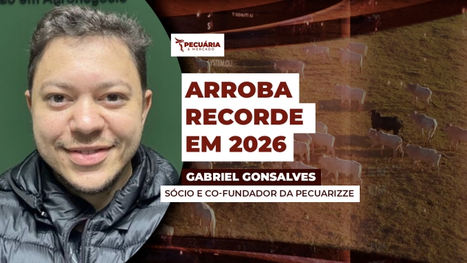 Cenários de oferta e demandas podem favorecer busca por cotações recordes para arroba em 2026