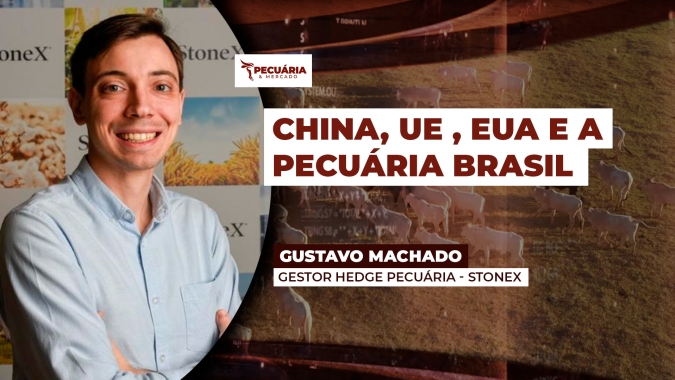 Fator China e os impactos para arroba do boi