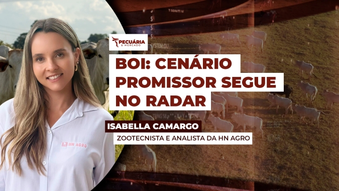 Incremento nas exportações, reação da demanda interna e redução na oferta de animais são positivos para arroba do boi