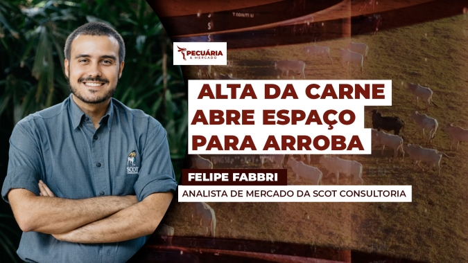 Semana começa com valorização da carne no atacado, o que pode abrir espaço para novas altas da arroba