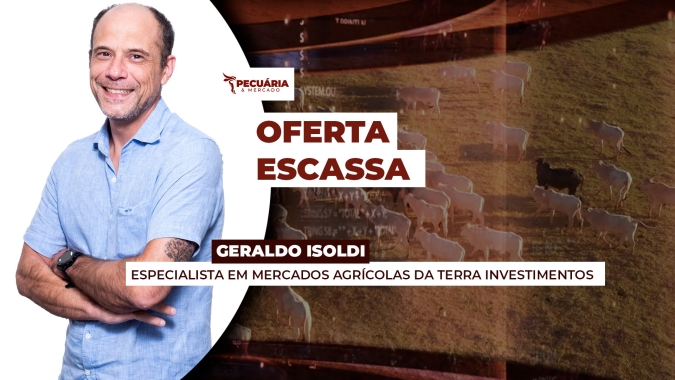 A oferta de animais está menor com redução no volume de bois prontos e retenção de pecuaristas