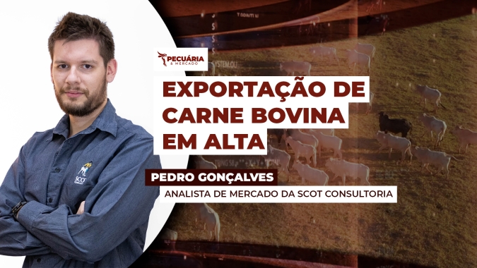 China pode elevar exportações de carne bovina do Brasil