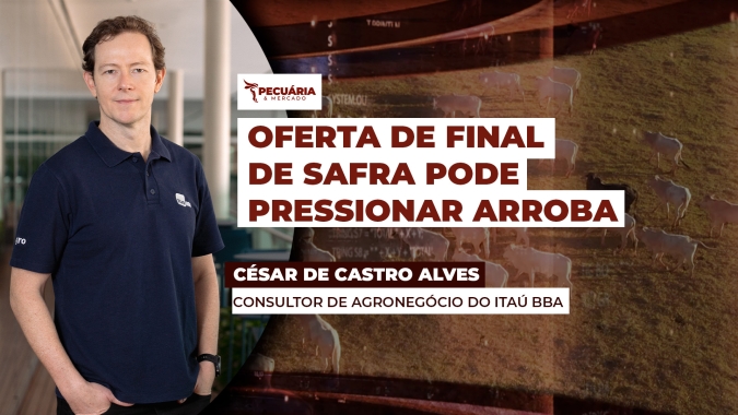Abril começa com preços firmes para arroba, mas foco deve se voltar para o final da safra
