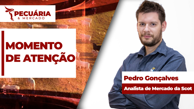 Fim da cota chinesa e redução de operações nos frigoríficos deixam mercado do boi em atenção