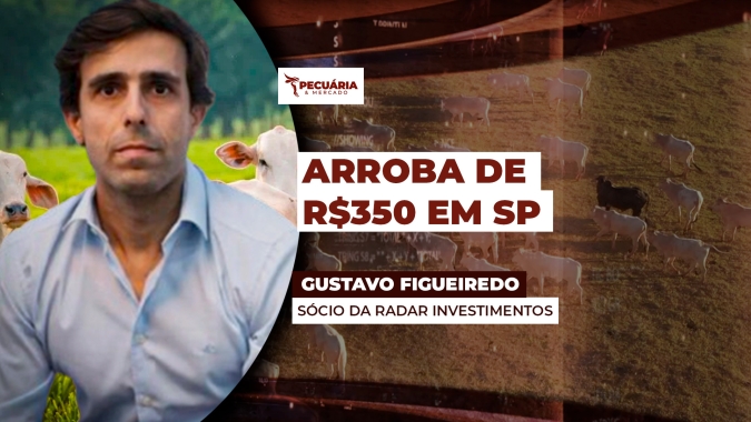 Frigoríficos em SP já pagam R$350 pela arroba do boi,  com cenário de escassez de oferta e demanda aquecida