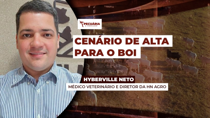 Semana encerra com arroba do boi em alta e movimento deve seguir até o carnaval